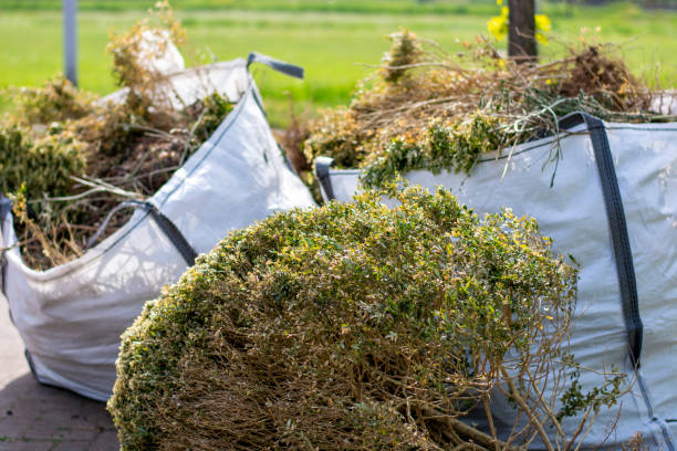 Best Office Junk Removal  in Bouse, AZ